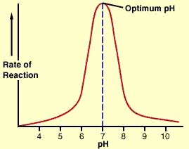 The effect of pH on enzyme catalyzed reaction