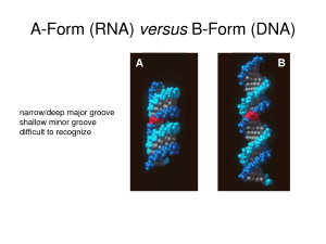 A and B forms of polynucleotides